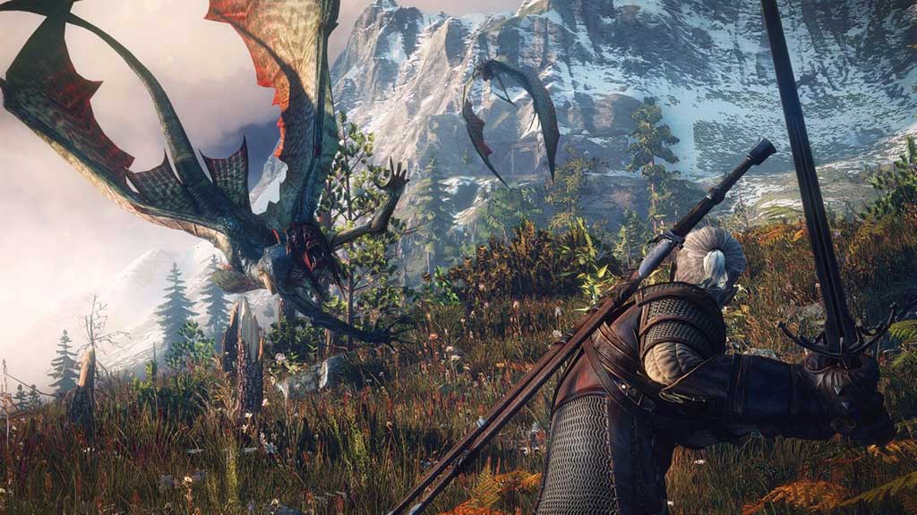 THE WITCHER 3 wild hunt